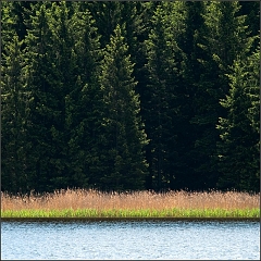 Novohradske hory